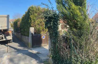 Avant-Travaux dessouchage et démolition mur de clôture-1